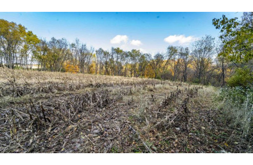 +/-70 ACRES Bee Lane, Lancaster, WI 53813