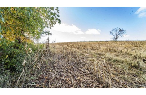 +/-70 ACRES Bee Lane, Lancaster, WI 53813