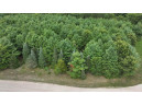 LOT #4 Sandy Pines Court, Redgranite, WI 54970