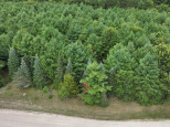 LOT #4 Sandy Pines Court Redgranite, WI 54970