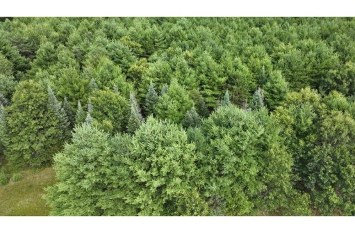 LOT #4 Sandy Pines Court, Redgranite, WI 54970