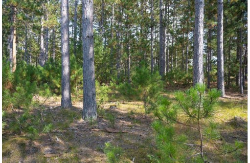 LOT 11 W 16th Court, Arkdale, WI 54613