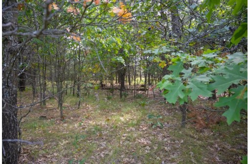 LOT 137 & 143 Quail Drive, New Lisbon, WI 53950