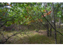 LOT 137 & 143 Quail Drive, New Lisbon, WI 53950