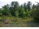 LOT 137 & 143 Quail Drive, New Lisbon, WI 53950