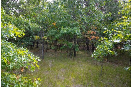 LOT 137 & 143 Quail Drive, New Lisbon, WI 53950