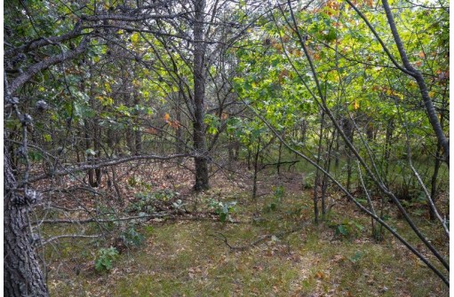 LOT 137 & 143 Quail Drive, New Lisbon, WI 53950