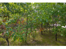 LOT 137 & 143 Quail Drive, New Lisbon, WI 53950