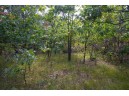 LOT 137 & 143 Quail Drive, New Lisbon, WI 53950