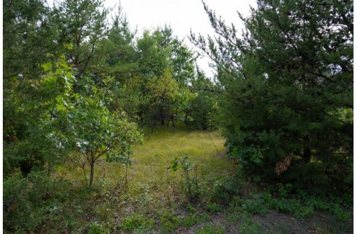 LOT 137 & 143 Quail Drive, New Lisbon, WI 53950