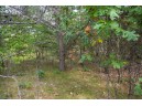 LOT 137 & 143 Quail Drive, New Lisbon, WI 53950