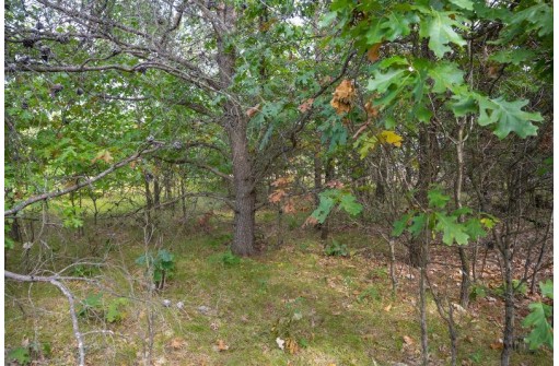 LOT 137 & 143 Quail Drive, New Lisbon, WI 53950