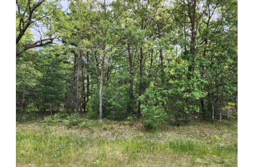 LOT 11 W 17th Drive, Arkdale, WI 54613