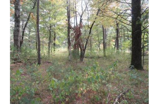 LOT 34 E Shore Trail, Wisconsin Rapids, WI 54494