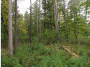 LOT 34 E Shore Trail, Wisconsin Rapids, WI 54494