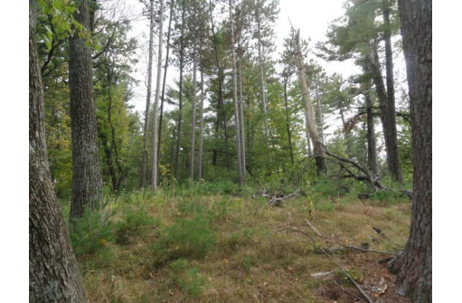 LOT 34 E Shore Trail, Wisconsin Rapids, WI 54494