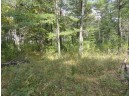 LOT 34 E Shore Trail, Wisconsin Rapids, WI 54494