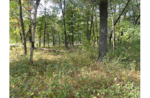 LOT 34 E Shore Trail, Wisconsin Rapids, WI 54494