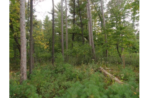 LOTS 34 & 35 E Shore Trail, Wisconsin Rapids, WI 54494