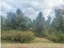 520 Regal Forest Trail, Nekoosa, WI 54457