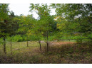 LOT 8 Yellow Thunder Trail, Baraboo, WI 53913