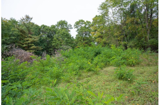 LOT 8 Yellow Thunder Trail, Baraboo, WI 53913