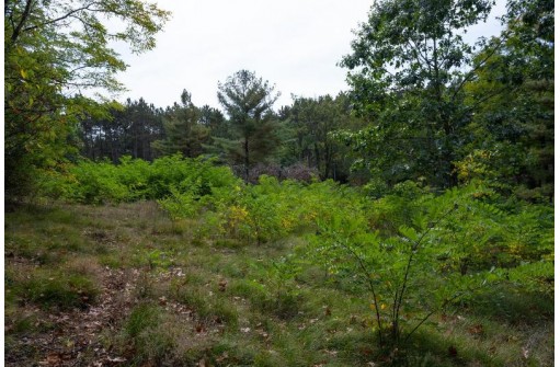 LOT 9 Yellow Thunder Trail, Baraboo, WI 53913