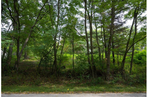 LOT 9 Yellow Thunder Trail, Baraboo, WI 53913