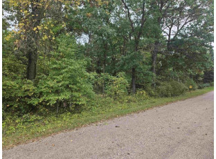 LOT 7 Carson Heights Road Mauston, WI 53948