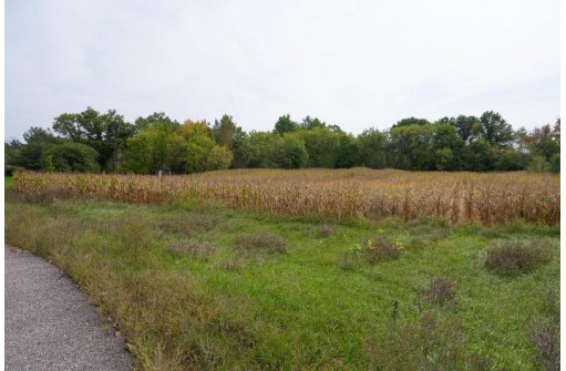 4.10AC Birdie Drive, Mauston, WI 53948