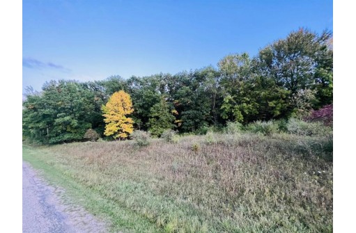 L171 Black Forest Drive, La Valle, WI 53941