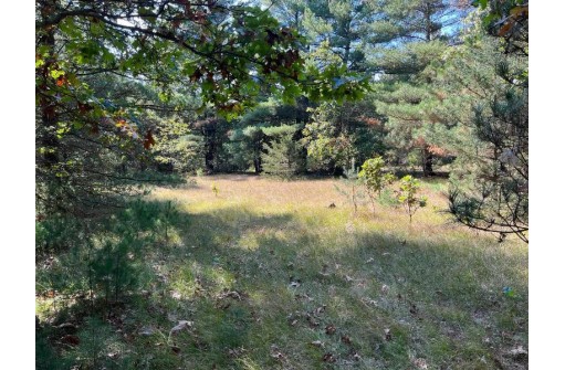 VACANT LAND Highway 133, Muscoda, WI 53573