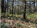 VACANT LAND Highway 133, Muscoda, WI 53573