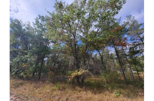 1.51 ACRES 15th Avenue, Arkdale, WI 54613