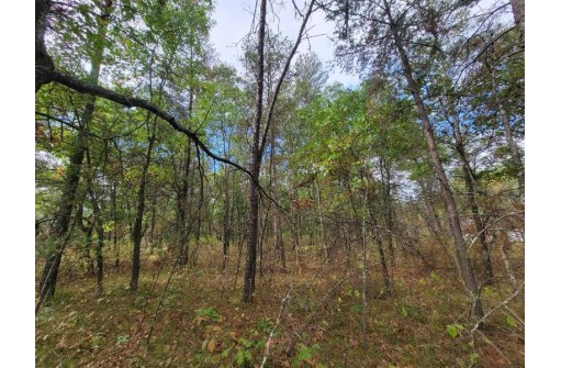 1.51 ACRES 15th Avenue, Arkdale, WI 54613
