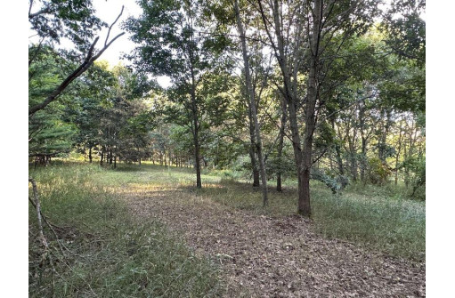 LOT 4 Davis Street, Verona, WI 53593