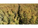 40ACRES MOL Dicus Road, Ladysmith, WI 54848