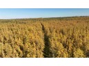 40ACRES MOL Dicus Road, Ladysmith, WI 54848