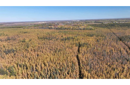 40ACRES MOL Dicus Road, Ladysmith, WI 54848