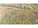 40ACRES MOL Dicus Road, Ladysmith, WI 54848