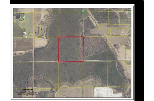 40ACRES MOL Dicus Road, Ladysmith, WI 54848