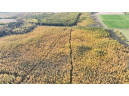 40ACRES MOL Dicus Road, Ladysmith, WI 54848