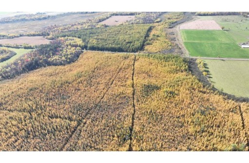 40ACRES MOL Dicus Road, Ladysmith, WI 54848