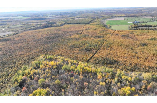 40ACRES MOL Dicus Road, Ladysmith, WI 54848