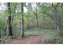 17.63 ACRES Biglow Hill Road, Avoca, WI 53506