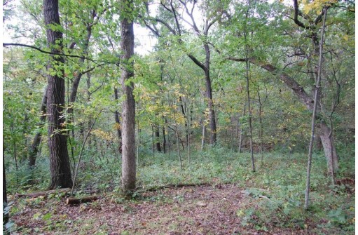 17.63 ACRES Biglow Hill Road, Avoca, WI 53506