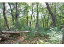 17.63 ACRES Biglow Hill Road, Avoca, WI 53506