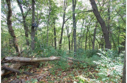 17.63 ACRES Biglow Hill Road, Avoca, WI 53506