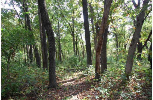 17.63 ACRES Biglow Hill Road, Avoca, WI 53506