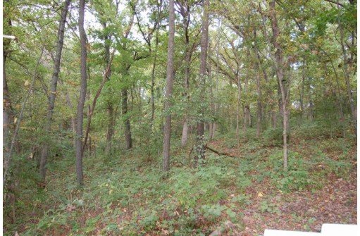 17.63 ACRES Biglow Hill Road, Avoca, WI 53506